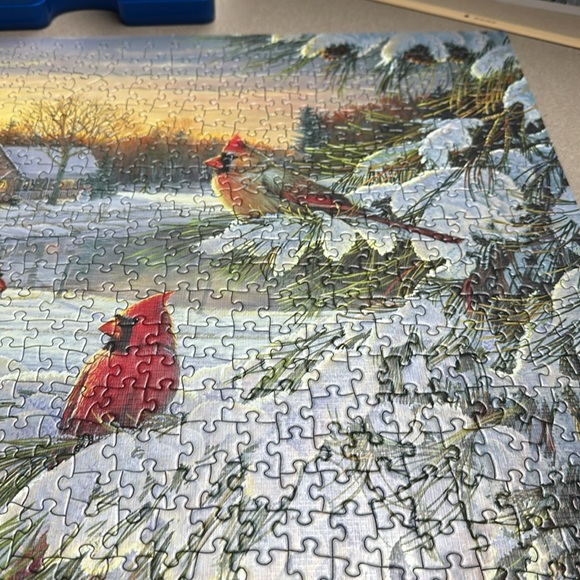 Cobble Hill 1,000 piece puzzle Sunset Cardinals - Picture 7 of 12
